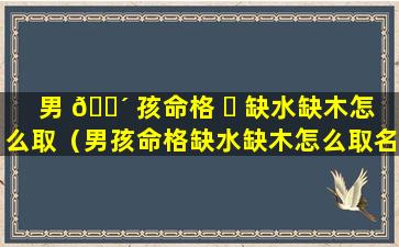 男 🌴 孩命格 ☘ 缺水缺木怎么取（男孩命格缺水缺木怎么取名字好）